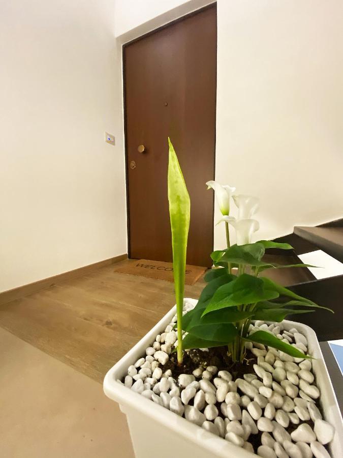 White Home بيشيلي المظهر الخارجي الصورة